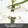 胡蝶蘭 マジックウォーター アレンジメント [02]