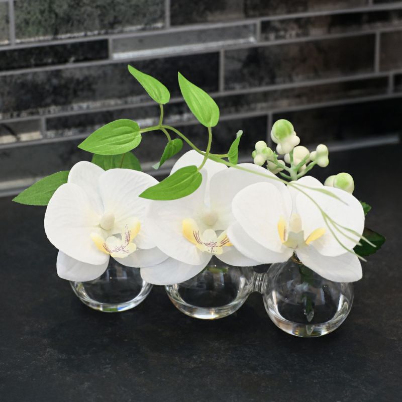 胡蝶蘭 マジックウォーター アレンジメント [02]