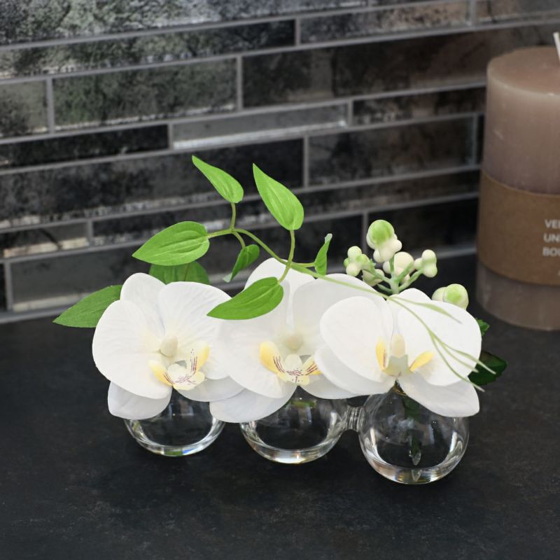 胡蝶蘭 マジックウォーター アレンジメント [02]