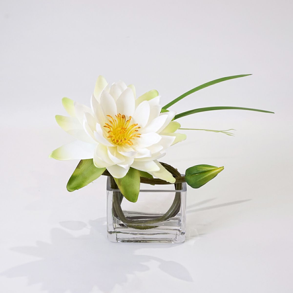 ロータス マジックウォーター アレンジメント [03]