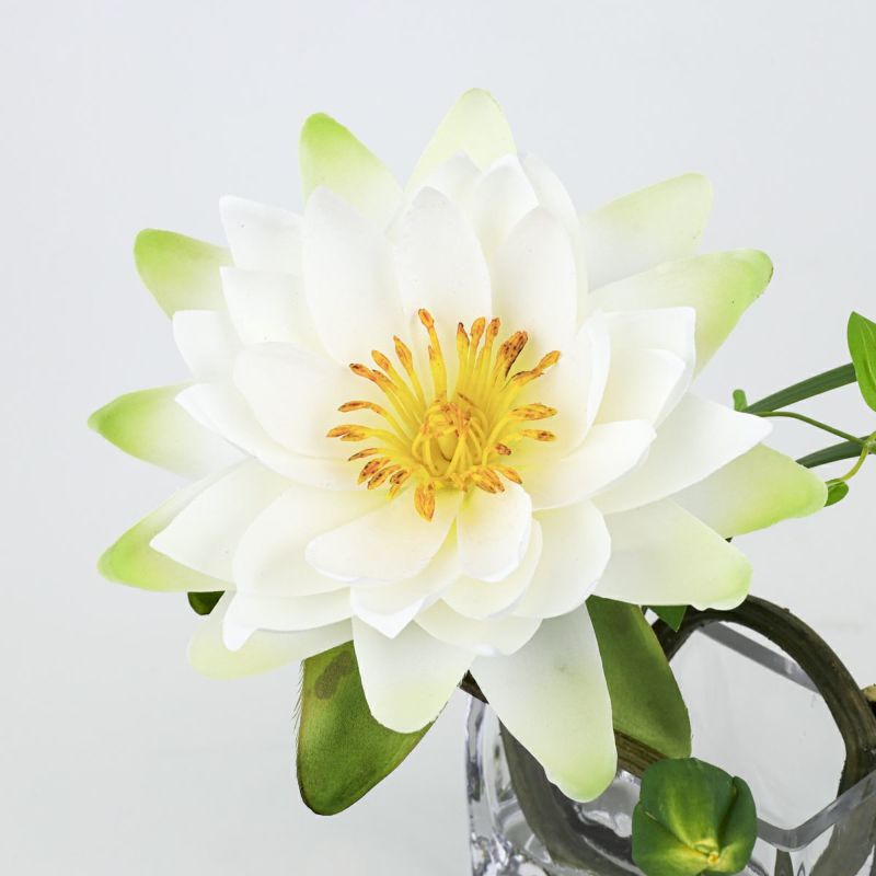 ロータス マジックウォーター アレンジメント [03]