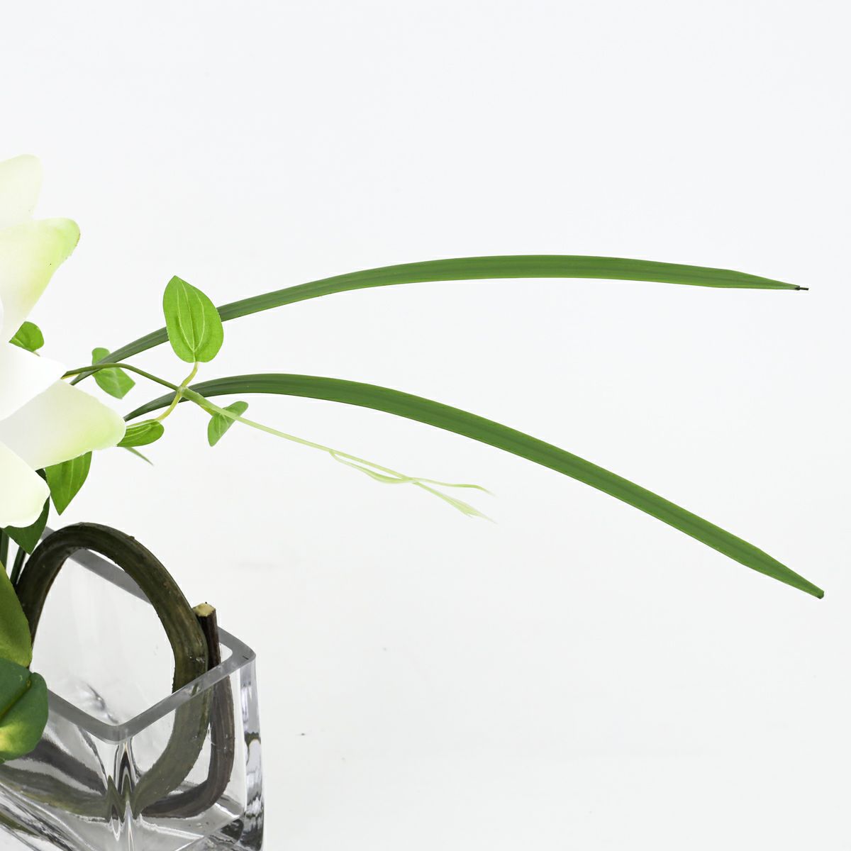 ロータス マジックウォーター アレンジメント [03]