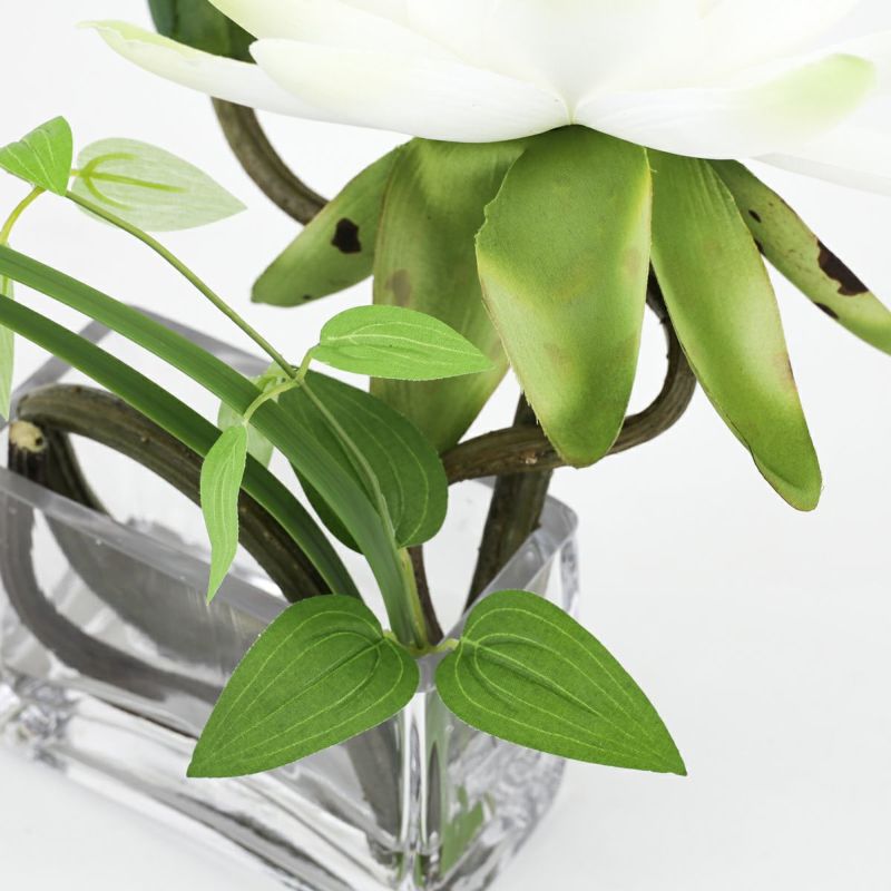 ロータス マジックウォーター アレンジメント [03]