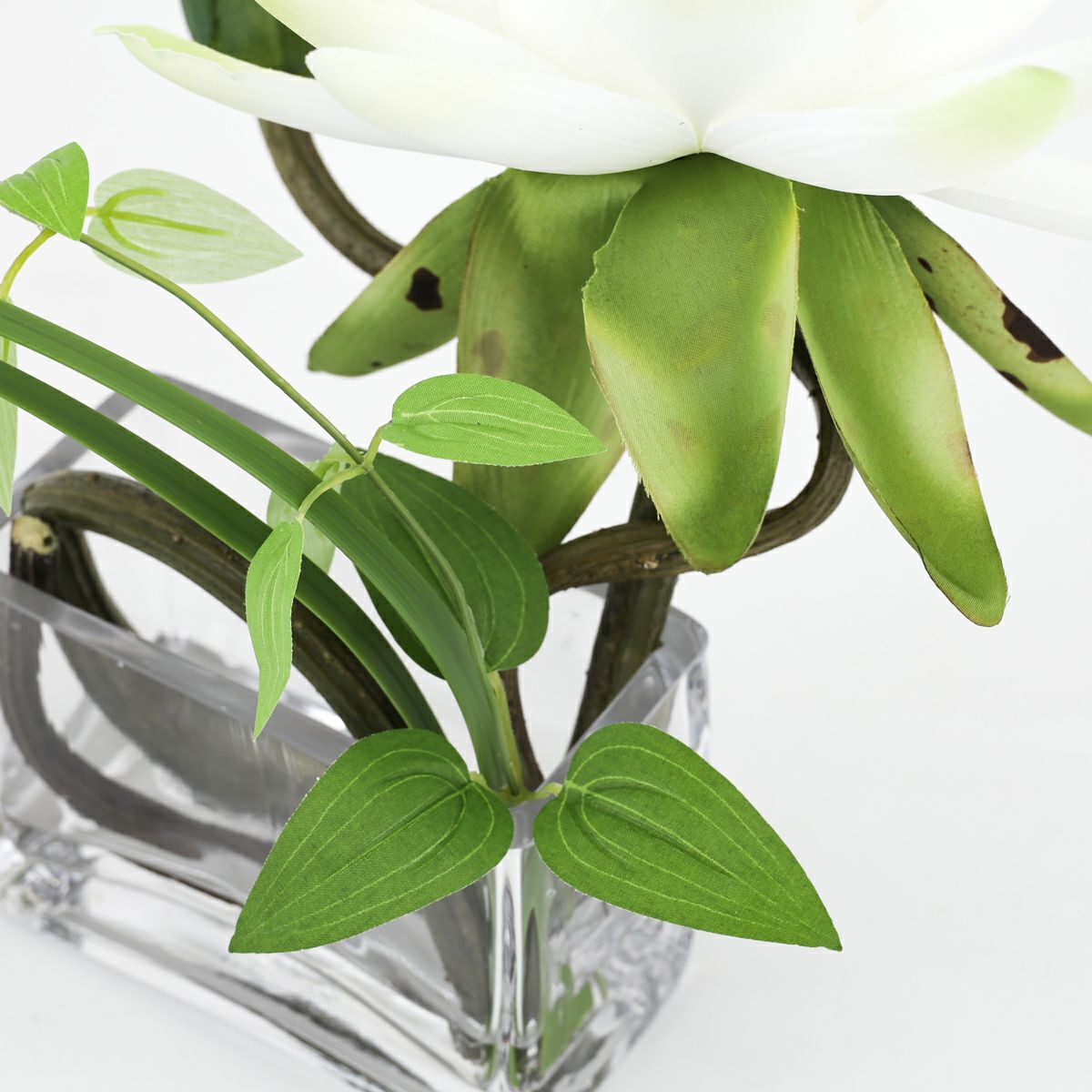 ロータス マジックウォーター アレンジメント [03]