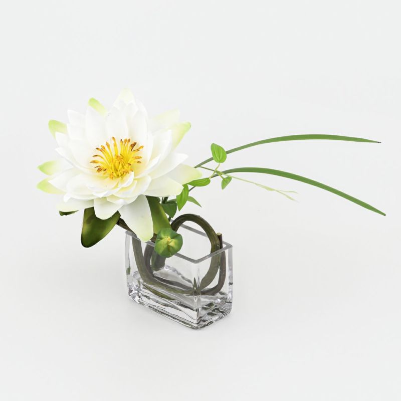 ロータス マジックウォーター アレンジメント [03]