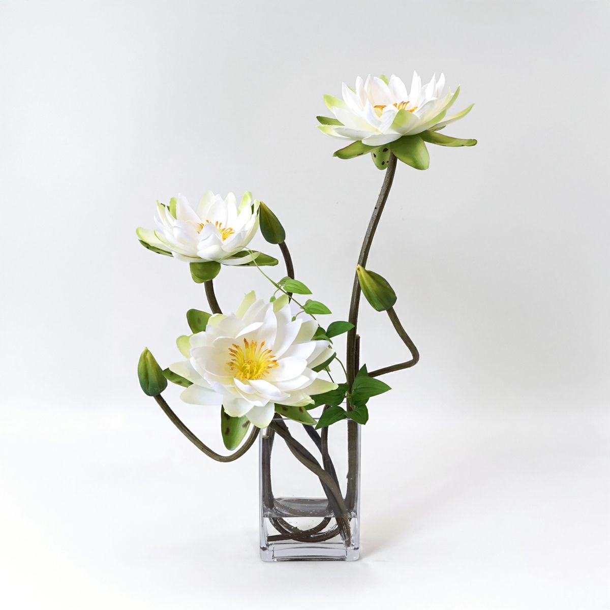 ロータス マジックウォーター アレンジメント [04]