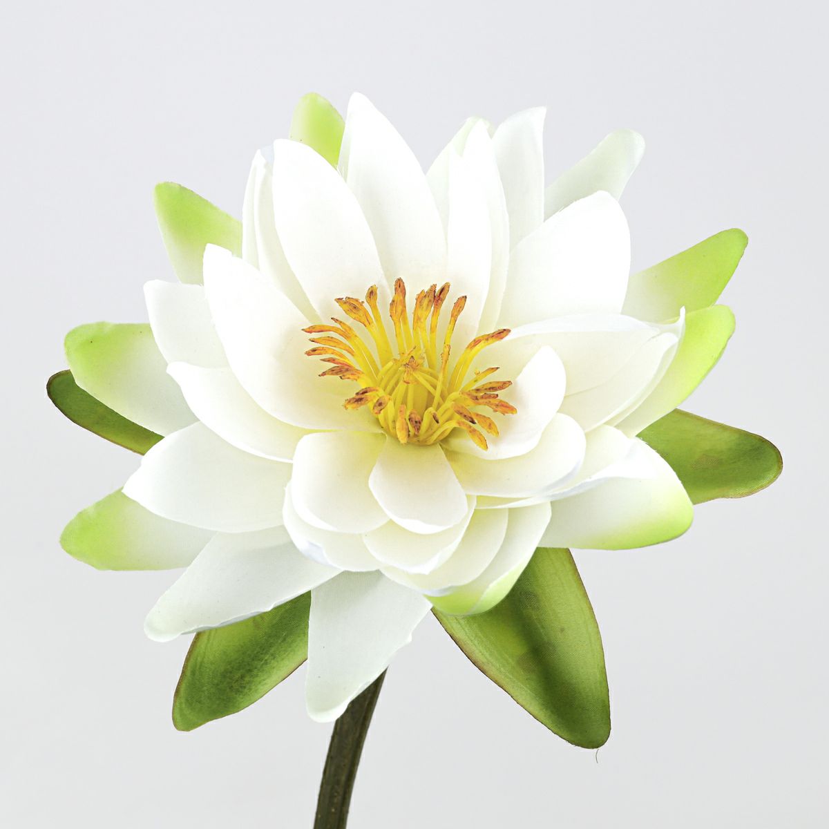 ロータス マジックウォーター アレンジメント [04]