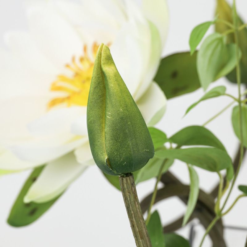 ロータス マジックウォーター アレンジメント [04]