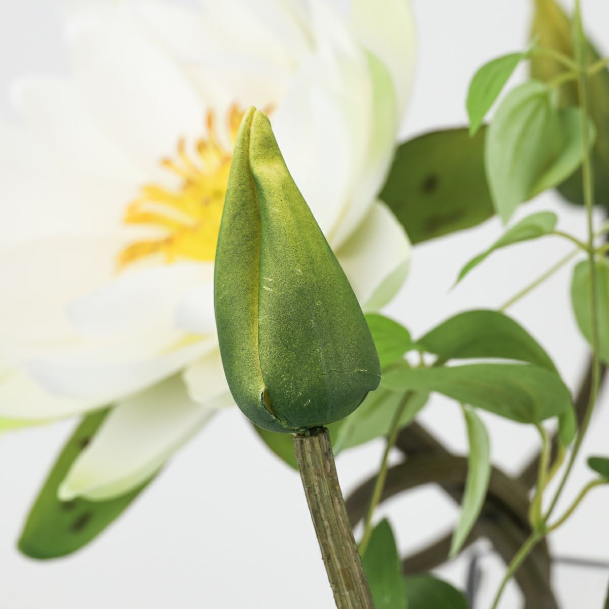 ロータス マジックウォーター アレンジメント [04]