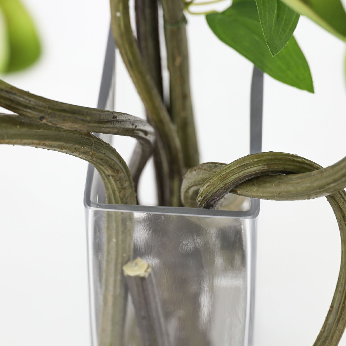 ロータス マジックウォーター アレンジメント [04]