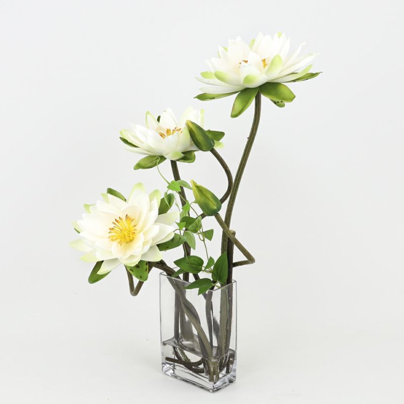 ロータス マジックウォーター アレンジメント [04]