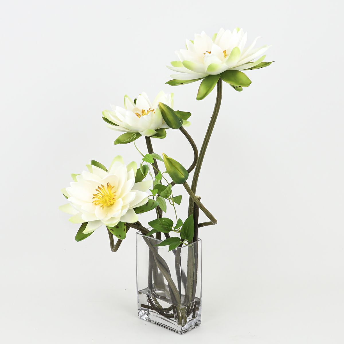 ロータス マジックウォーター アレンジメント [04]