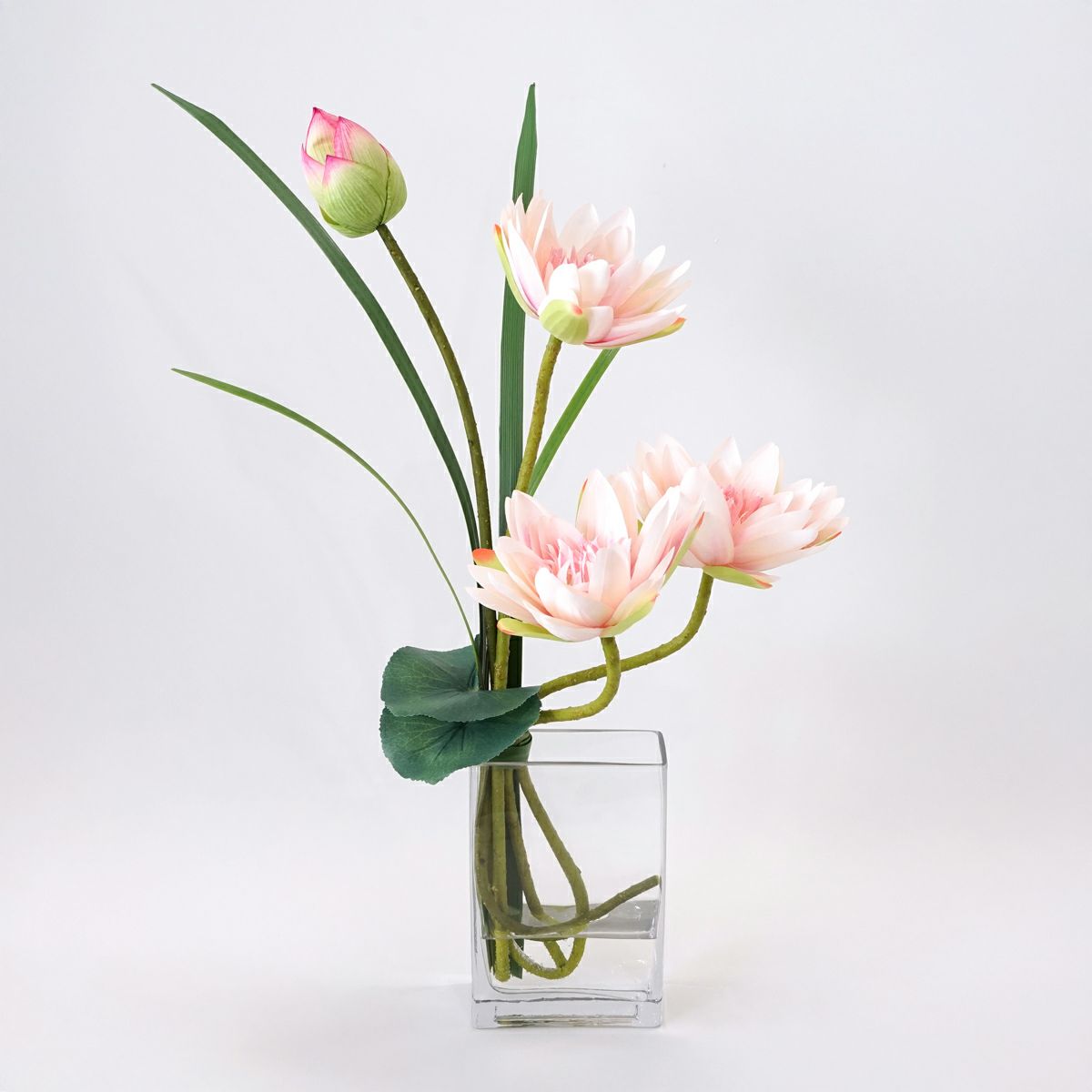 ロータス マジックウォーター アレンジメント [05]