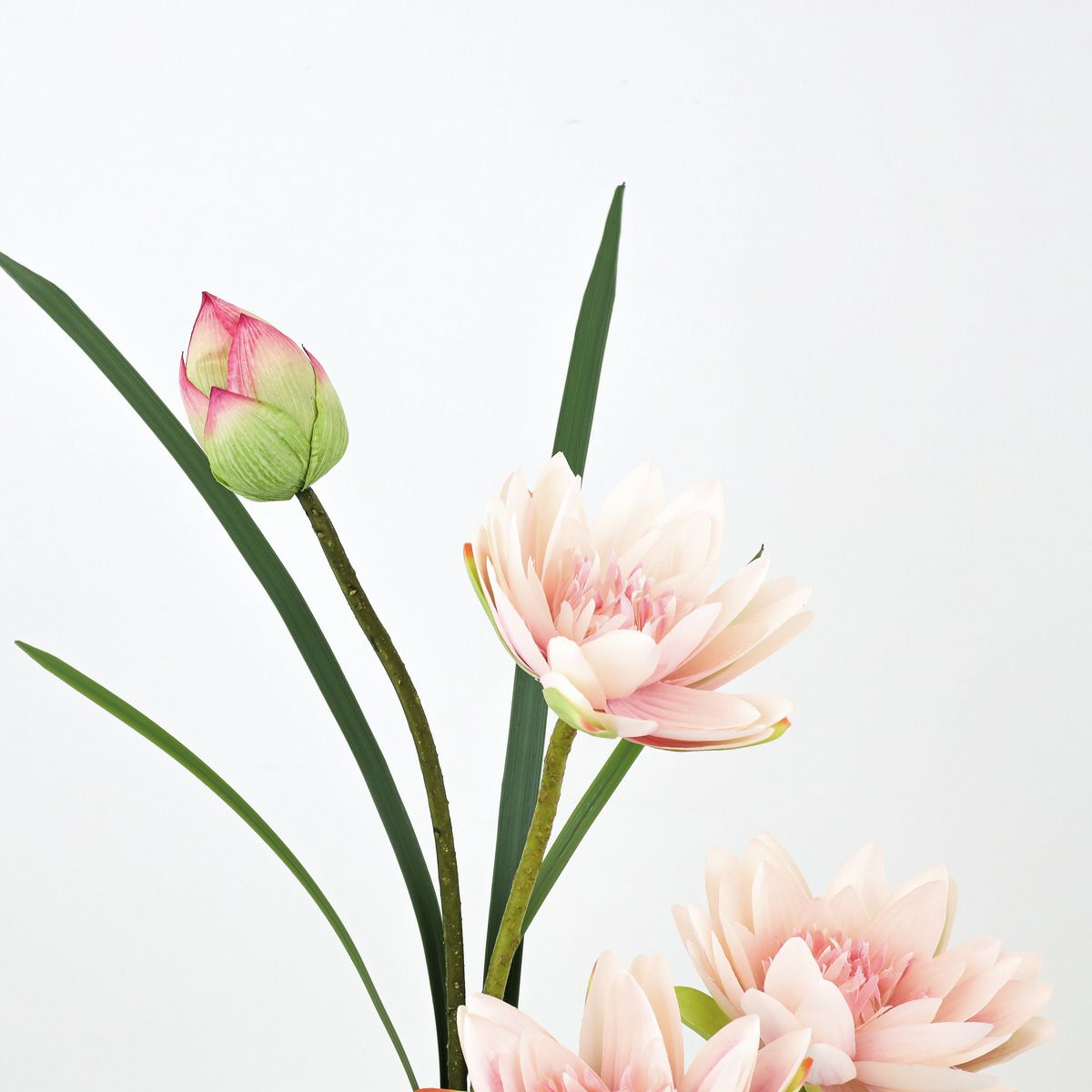 ロータス マジックウォーター アレンジメント [05]