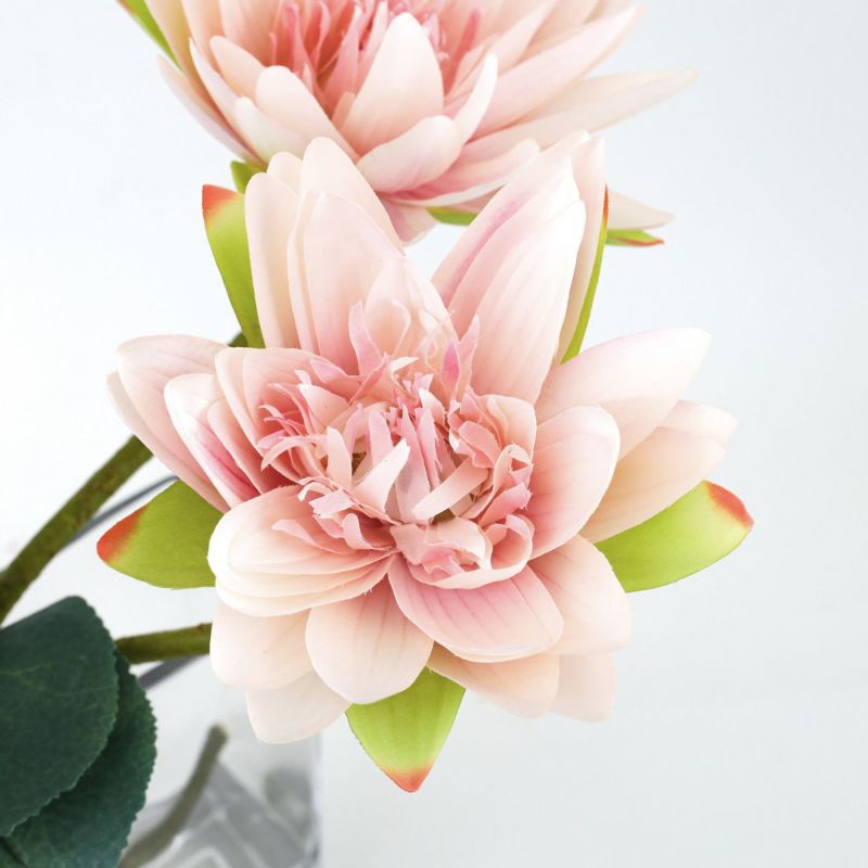 ロータス マジックウォーター アレンジメント [05]