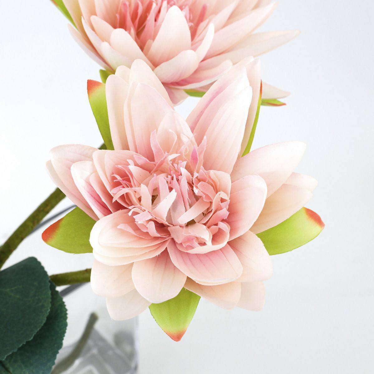 ロータス マジックウォーター アレンジメント [05]