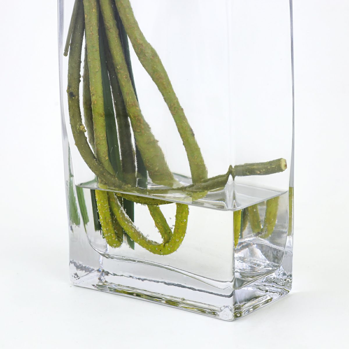 ロータス マジックウォーター アレンジメント [05]