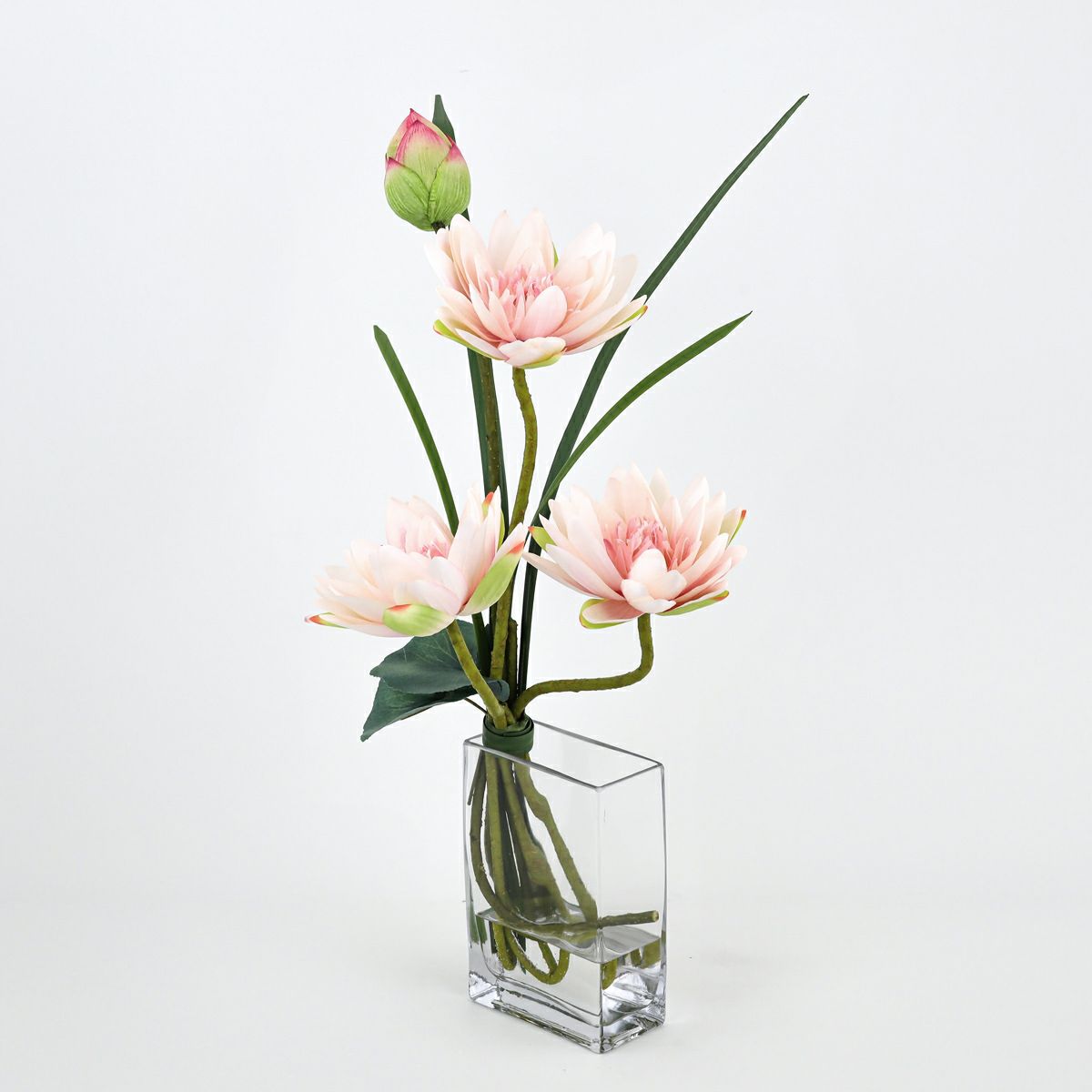 ロータス マジックウォーター アレンジメント [05]