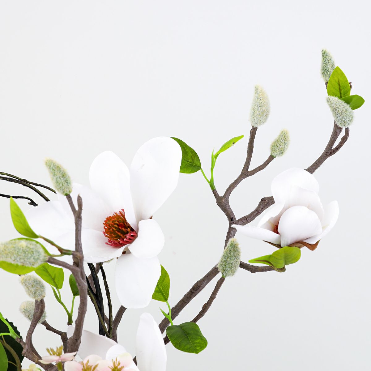 マグノリア アレンジメント [WEB570]