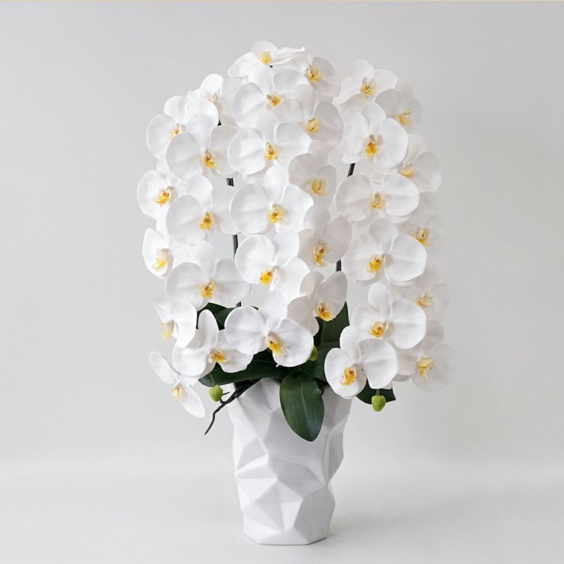 開店祝い・開業祝いに人気の花 2位