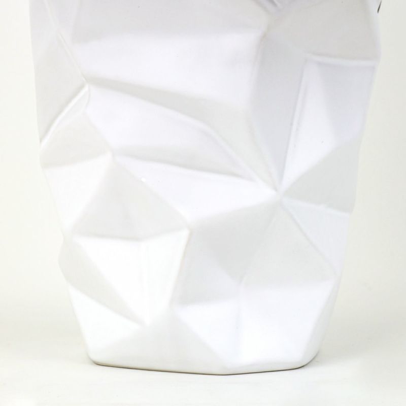 胡蝶蘭 3本立 はくらん[12]