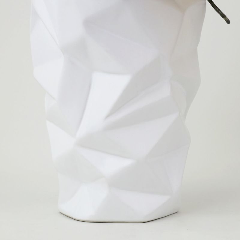 胡蝶蘭 3本立 はくらん[13]