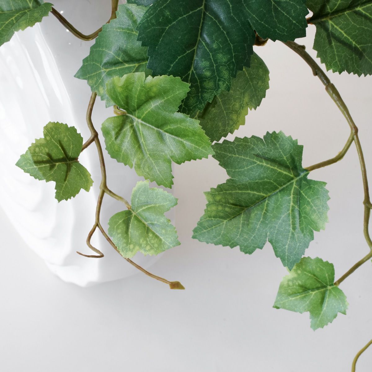 シンビジューム アレンジメント [10]