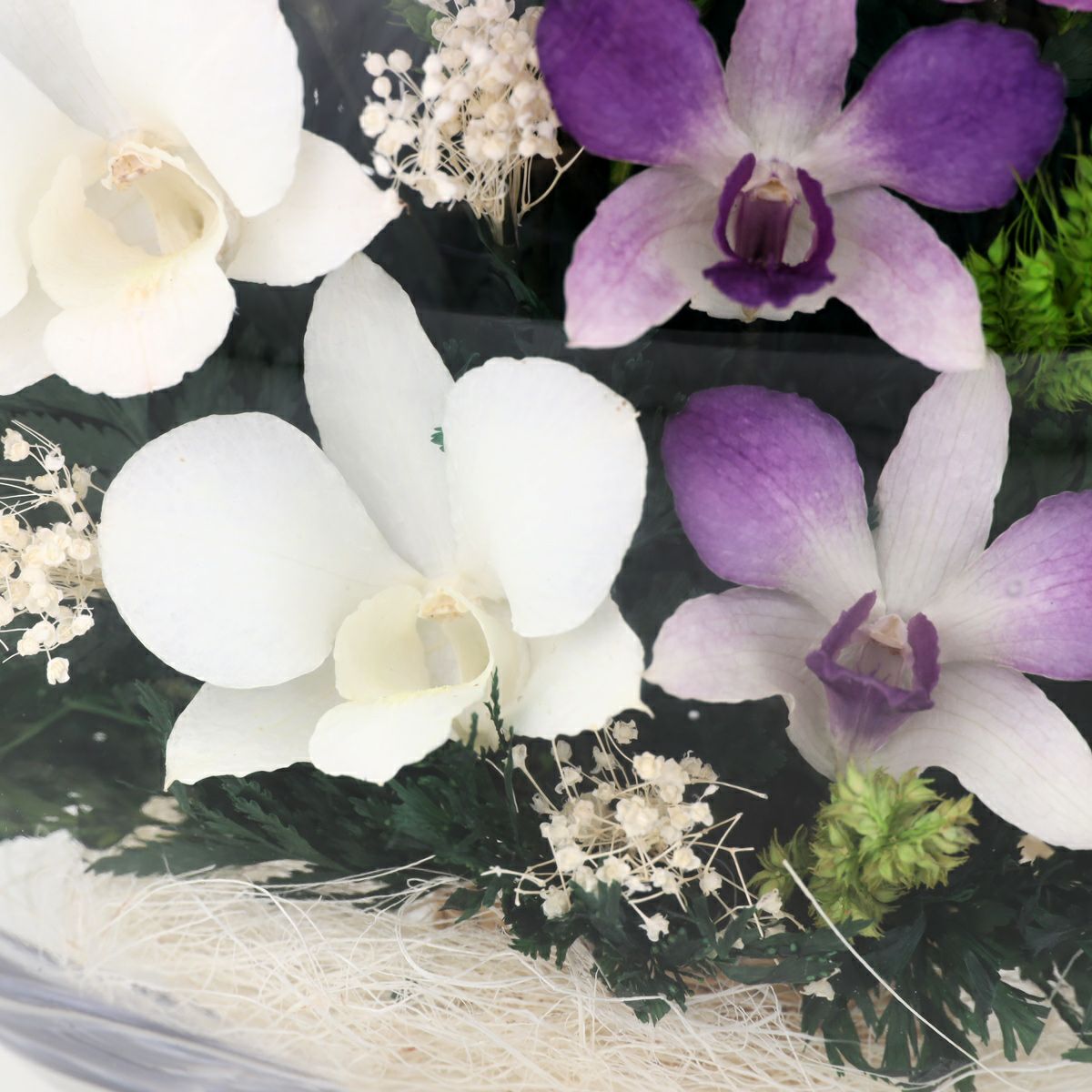 ミエル[137A] ボトルフラワー