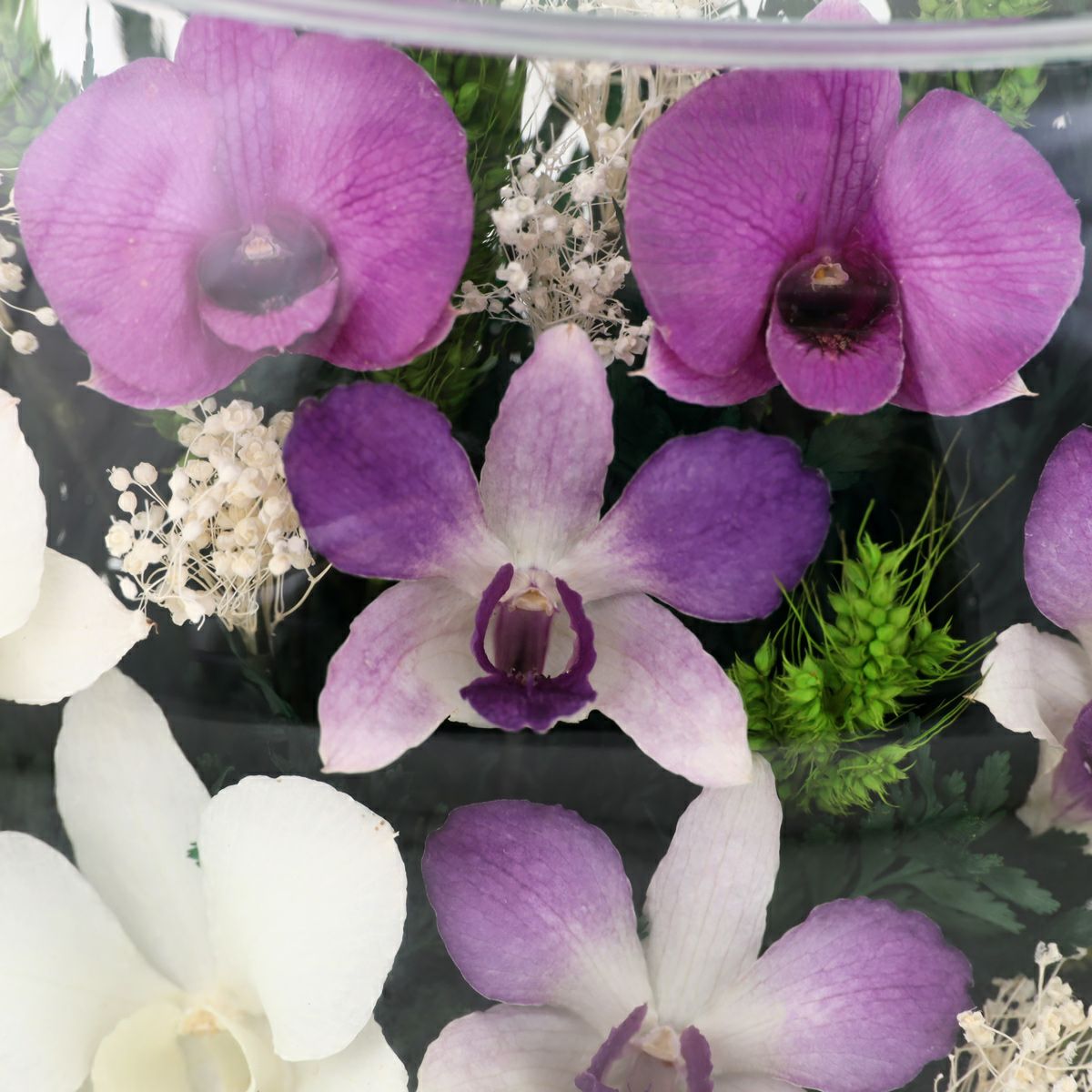 ミエル[137A] ボトルフラワー