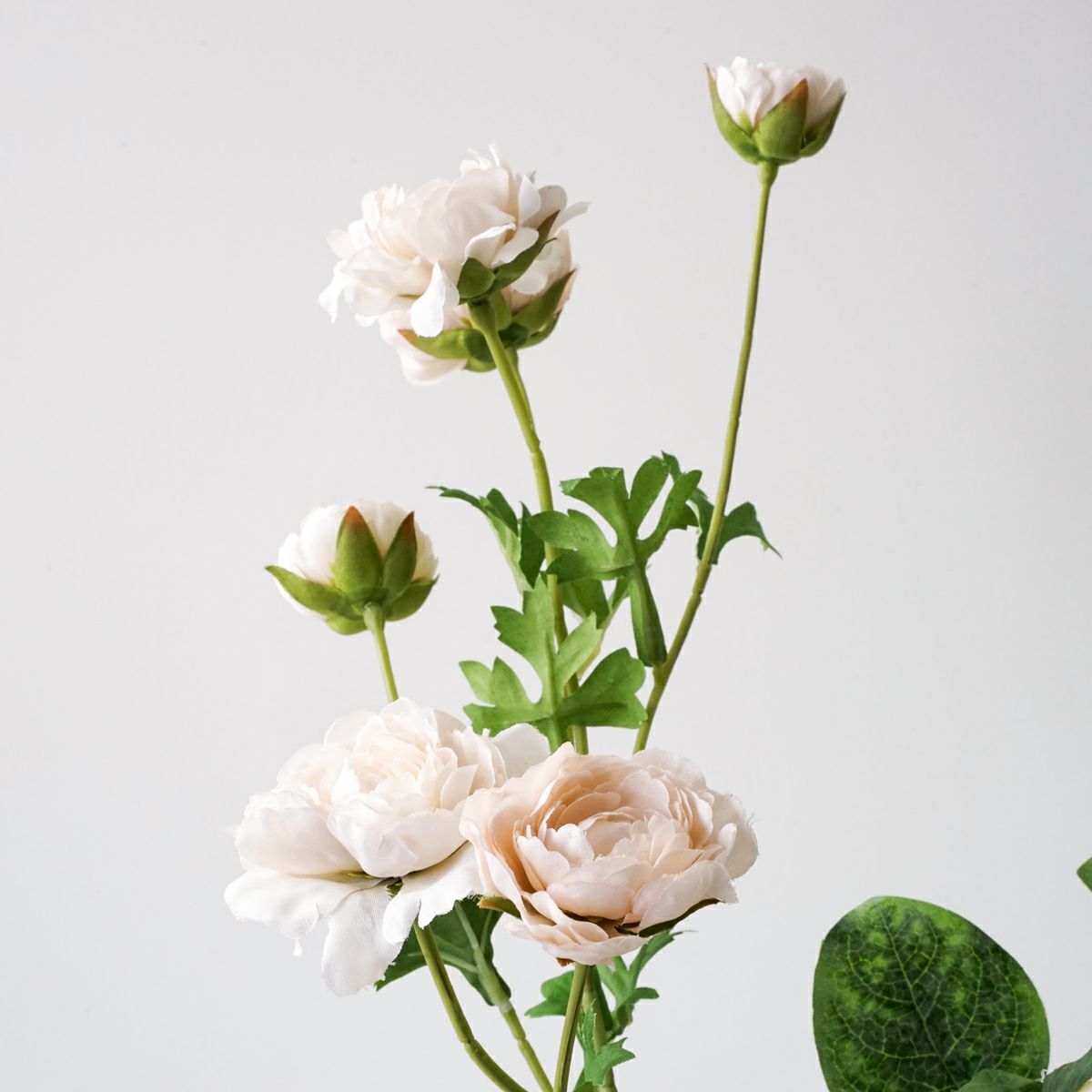 ホワイトローズ アレンジメント [55]