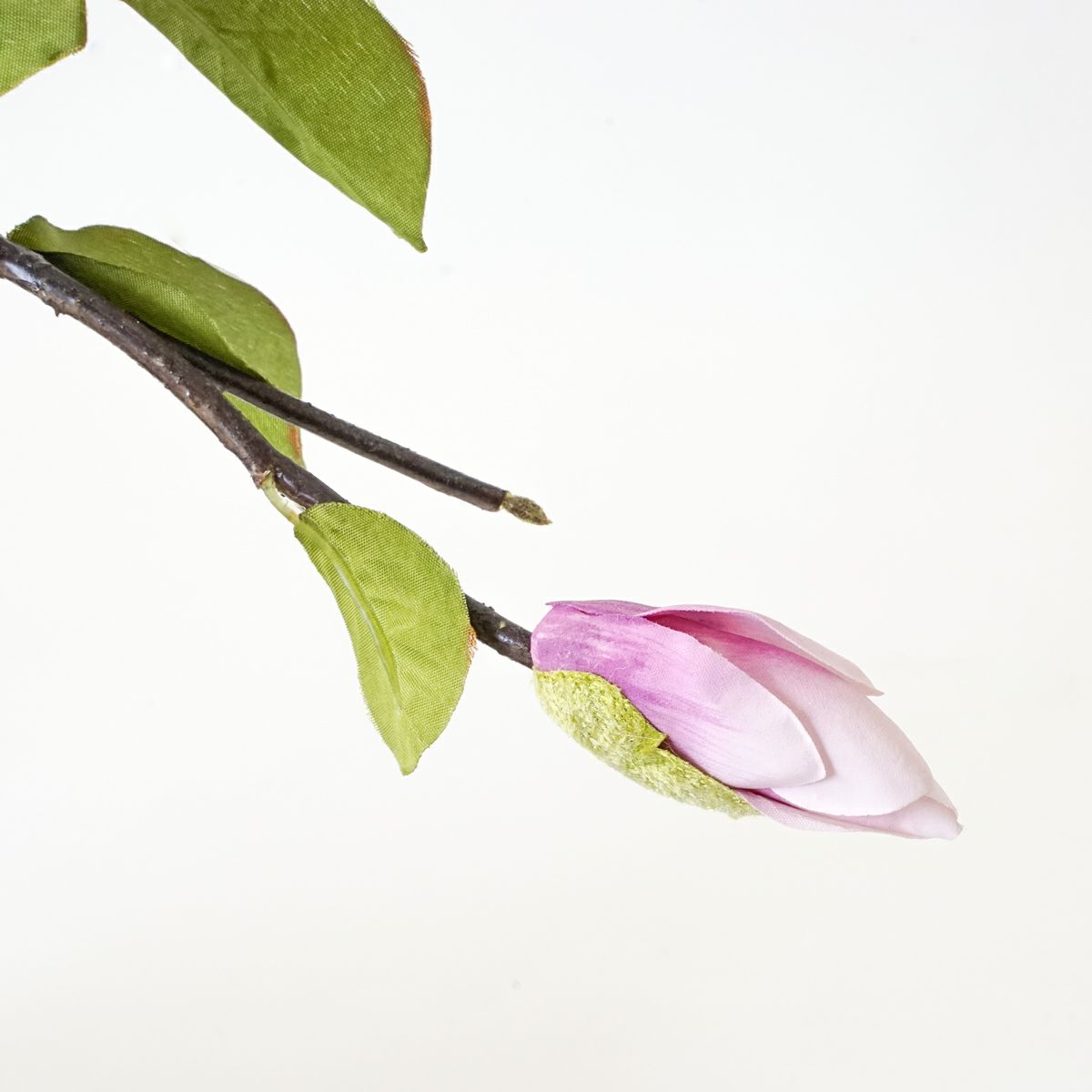 マグノリア アレンジメント [77]