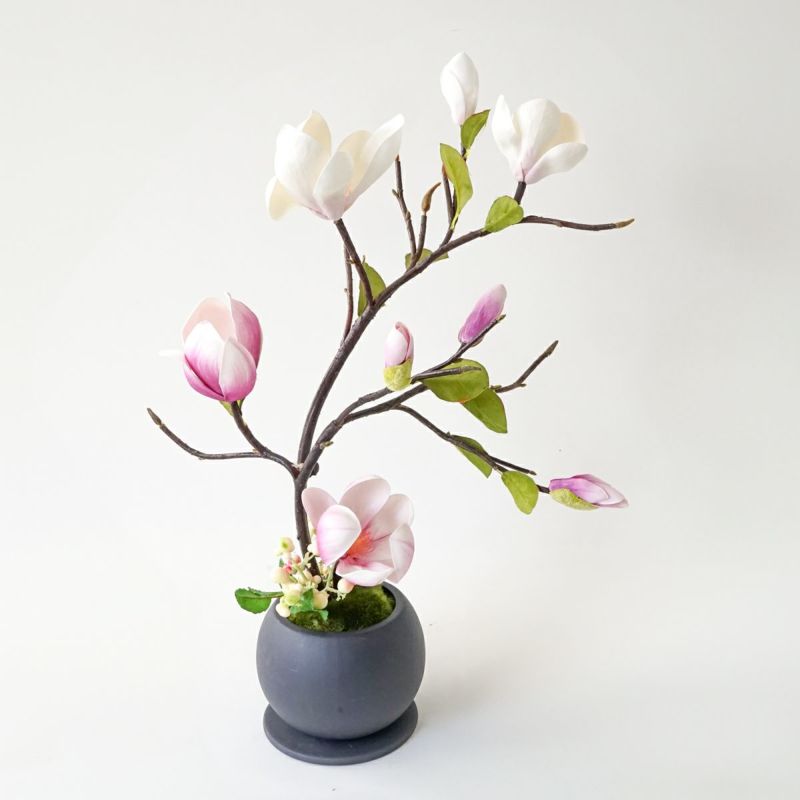 マグノリア アレンジメント [77]