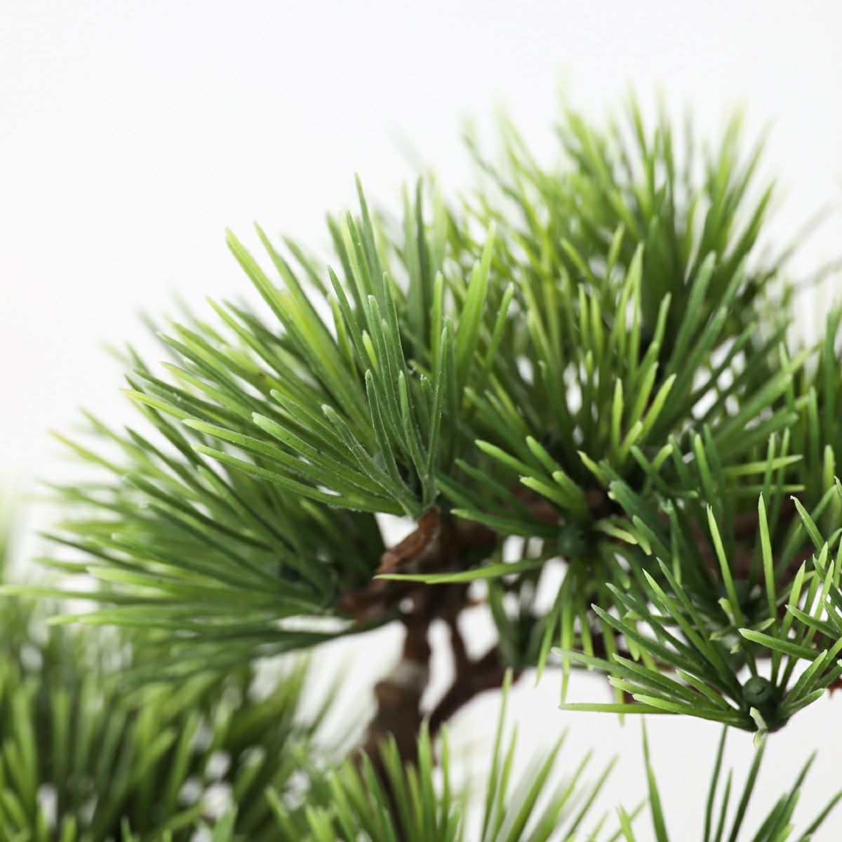 【盆景美】 盆栽 フェイクグリーン [01]