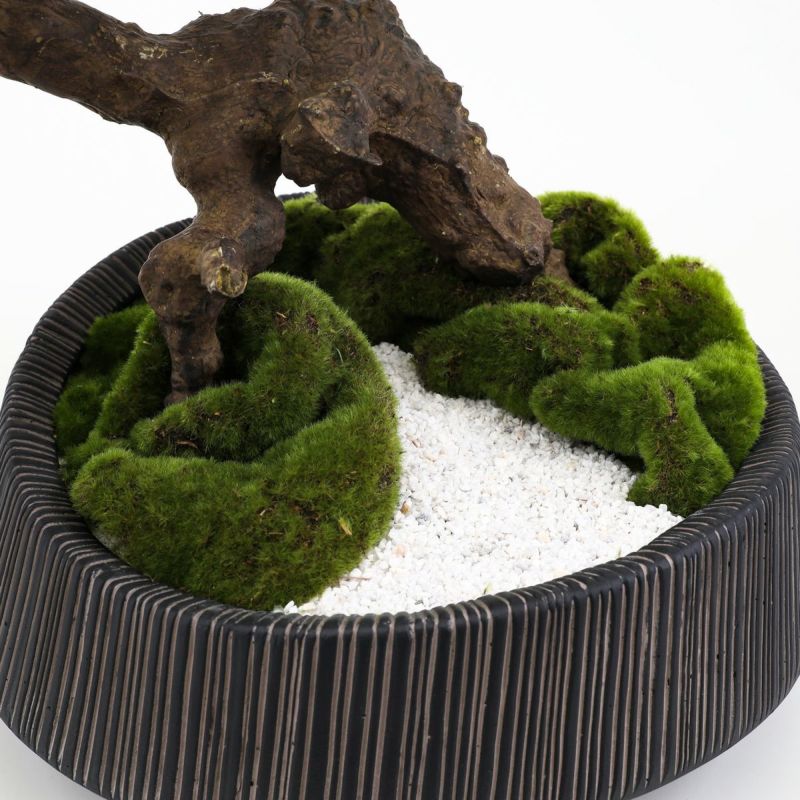 【盆景美】 盆栽 フェイクグリーン [01]