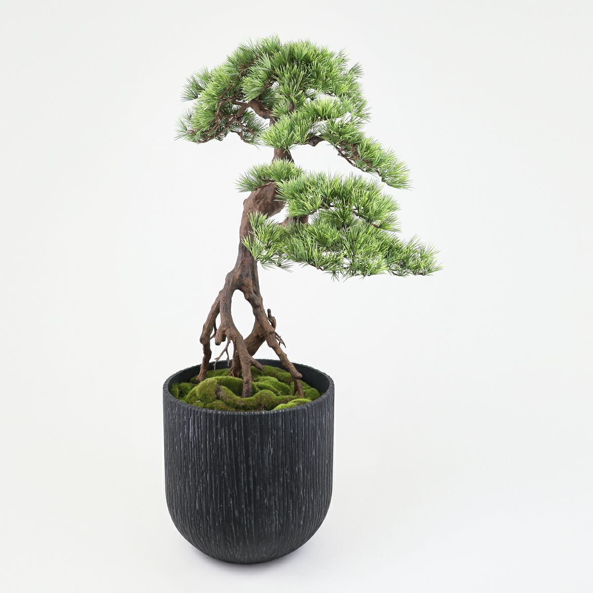 盆景美】 盆栽 フェイクグリーン [03]