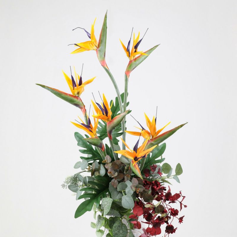 ストレリチア アレンジメント [AT-116]