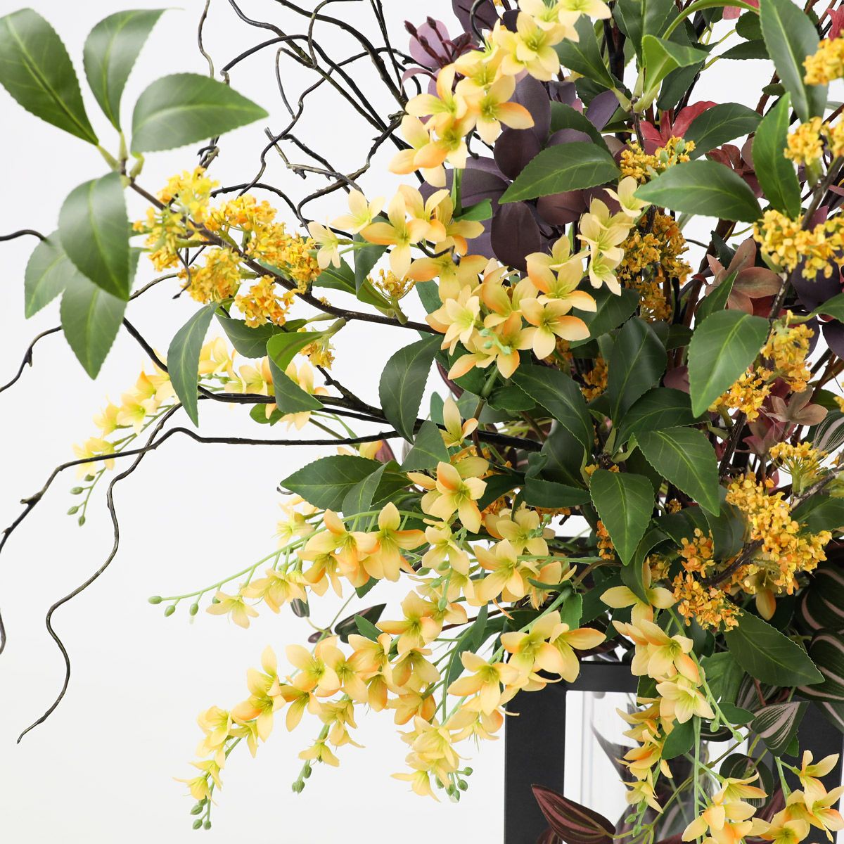 キンモクセイ アレンジメント [AT-117] 