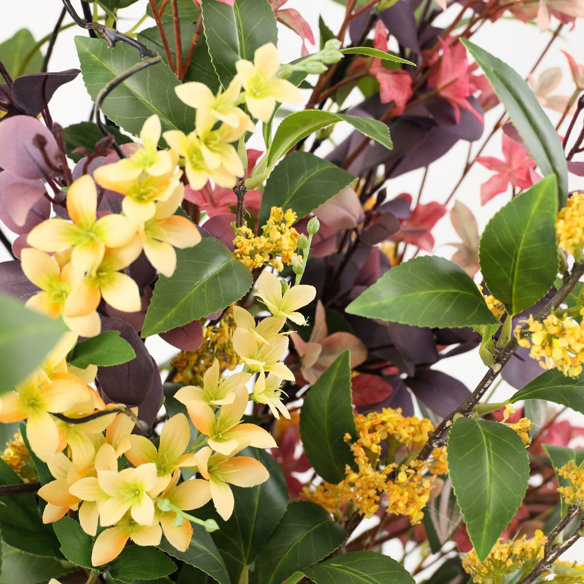 キンモクセイ アレンジメント [AT-117] 