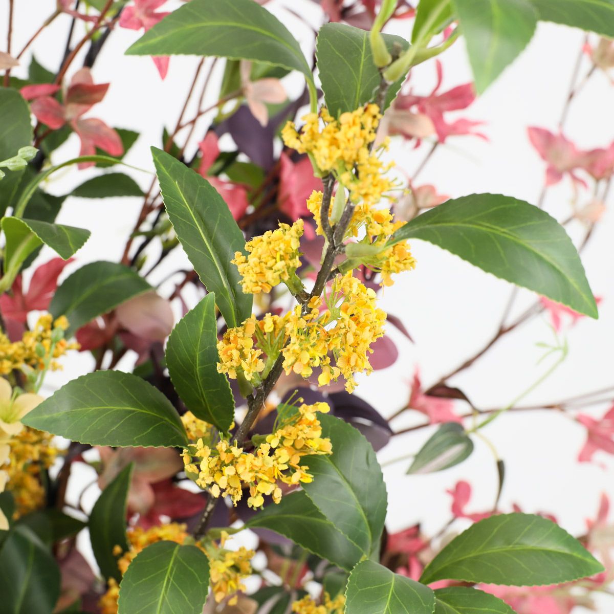 キンモクセイ アレンジメント [AT-117] 