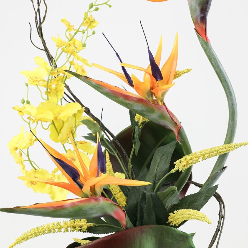 ストレリチア アレンジメント [AT-118]