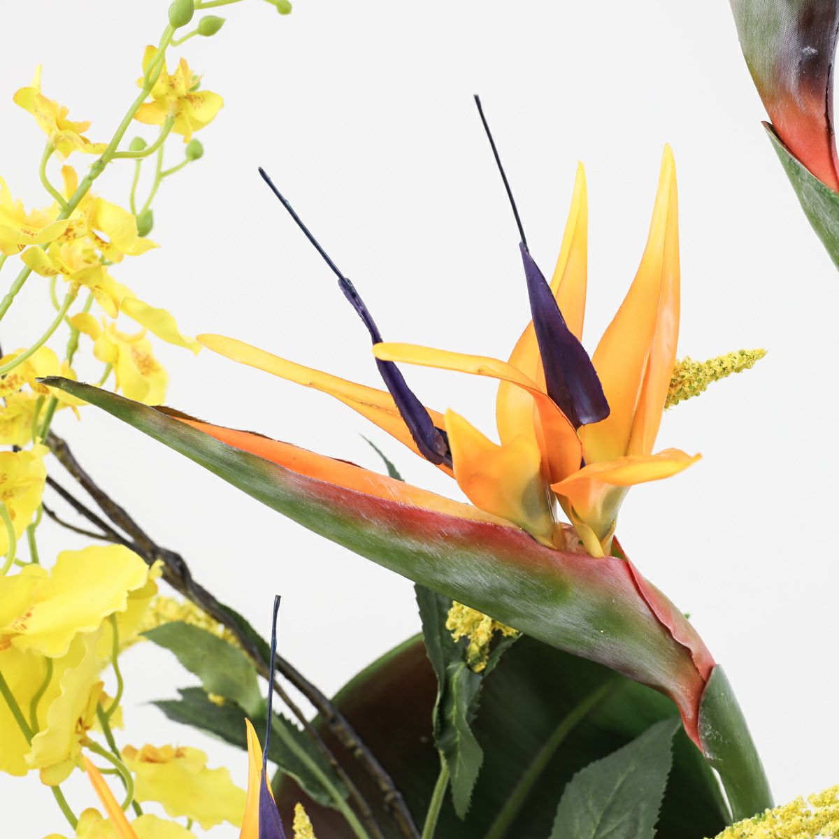 ストレリチア アレンジメント [AT-118]