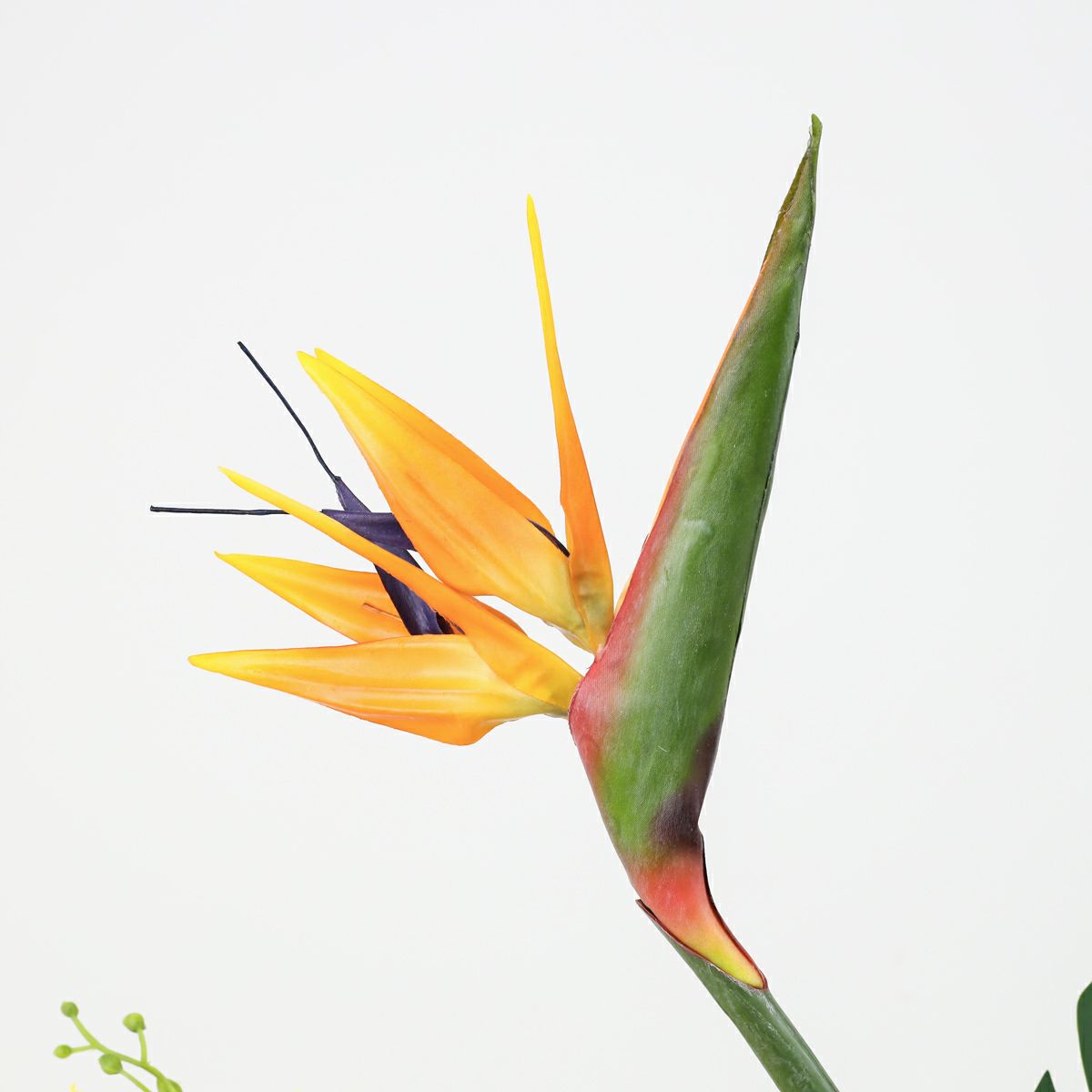 ストレリチア アレンジメント [AT-119]