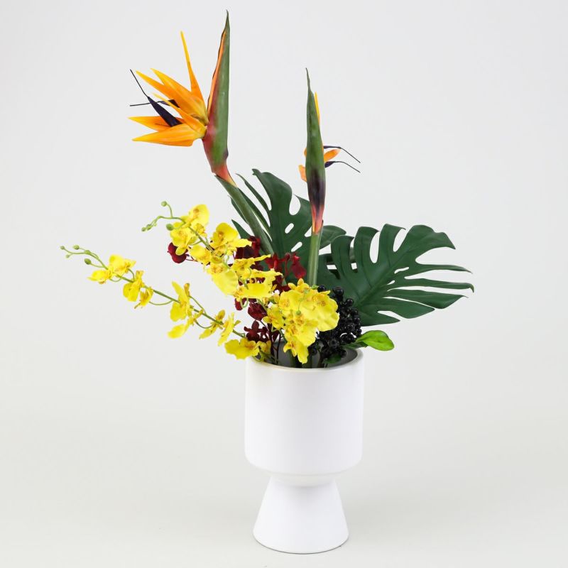 ストレリチア アレンジメント [AT-119]