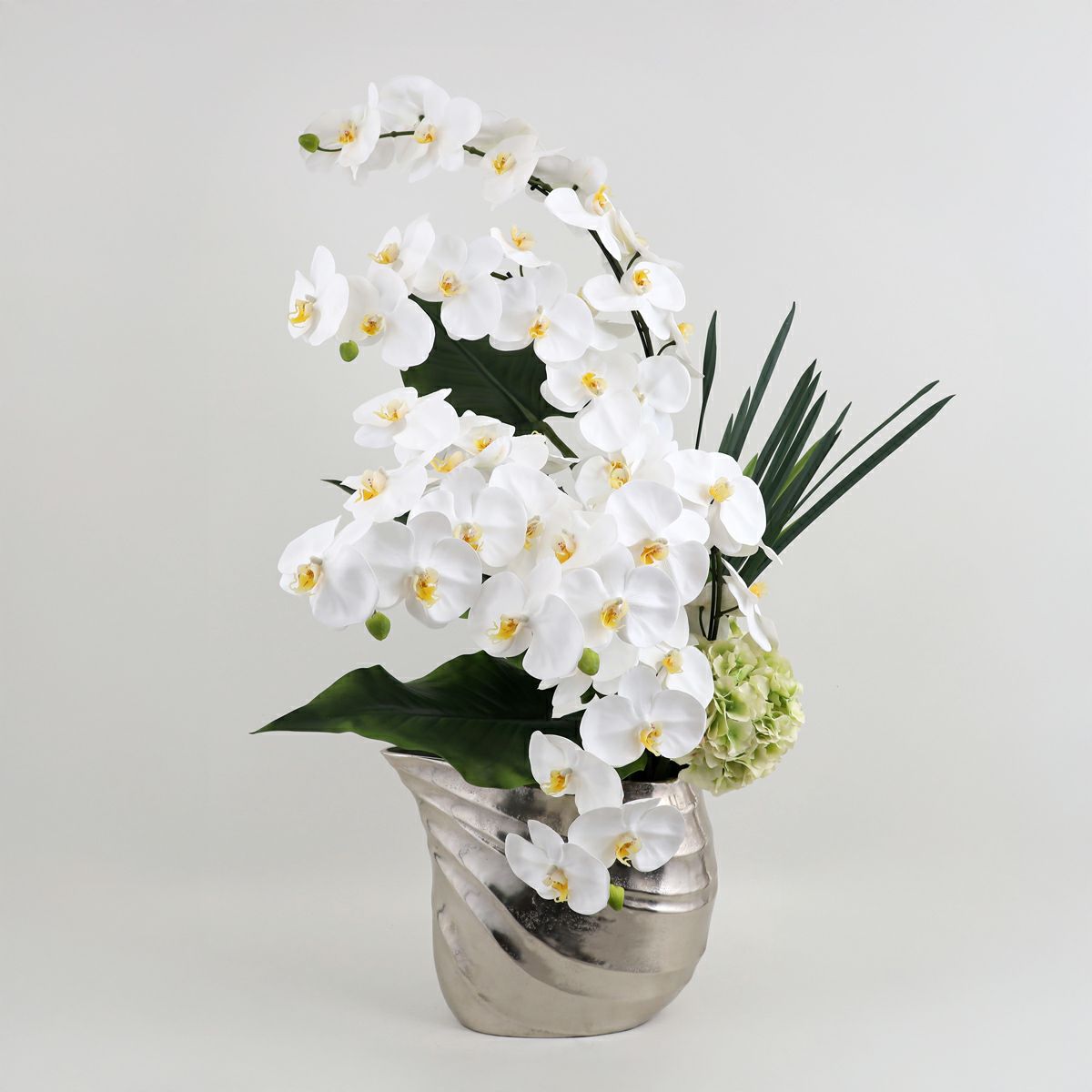 胡蝶蘭 はくらん[20]