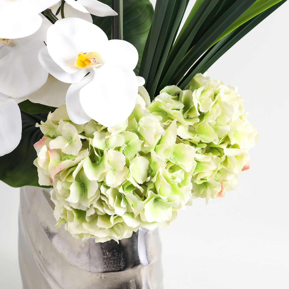 胡蝶蘭 はくらん[20]