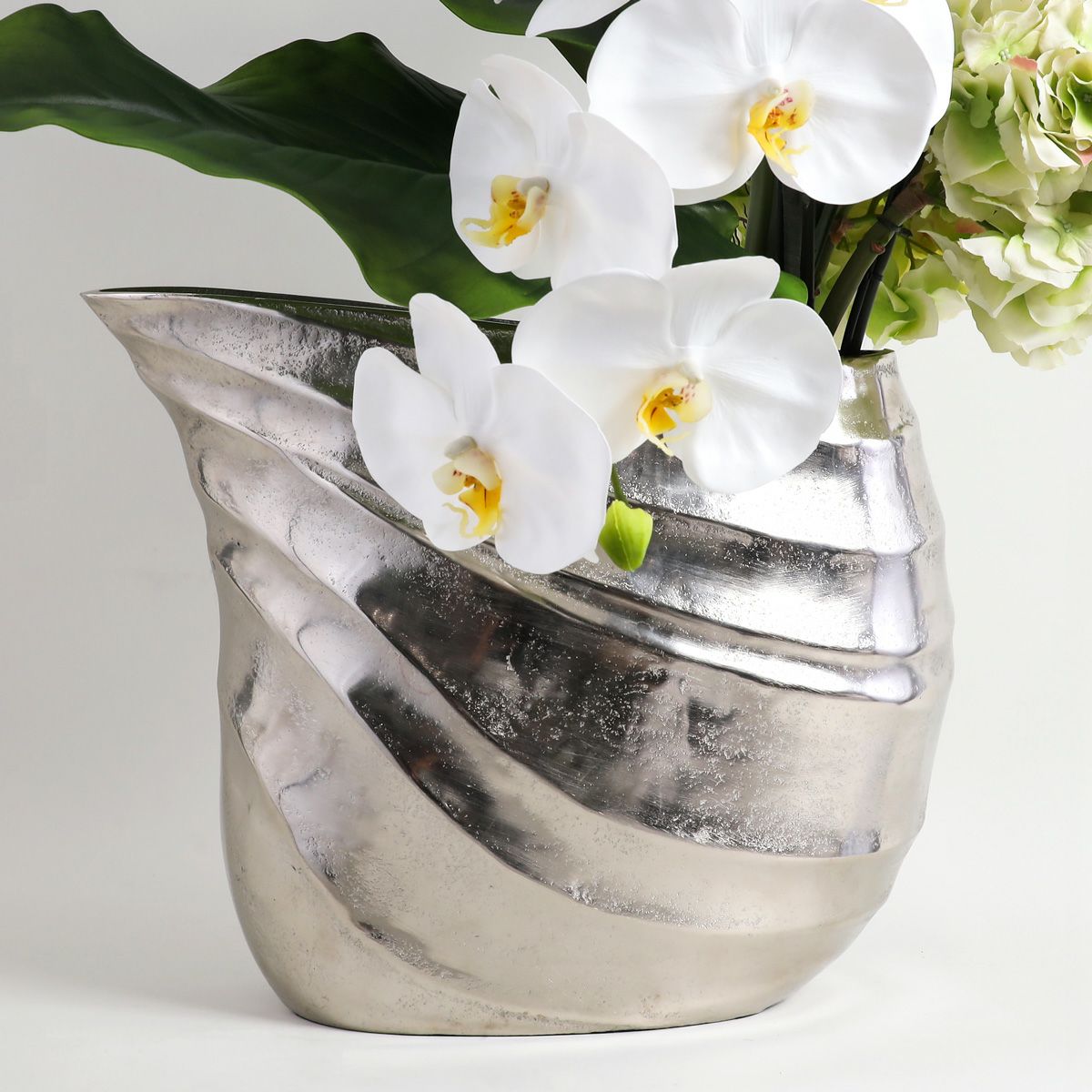 胡蝶蘭 はくらん[20]