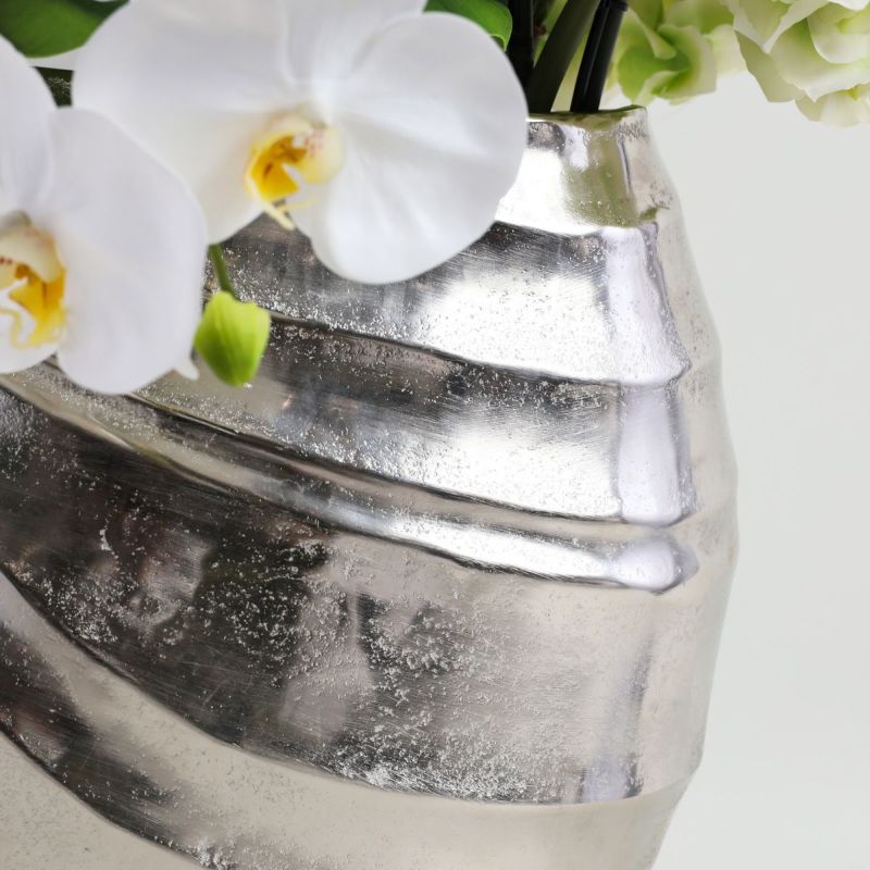 胡蝶蘭 はくらん[20]