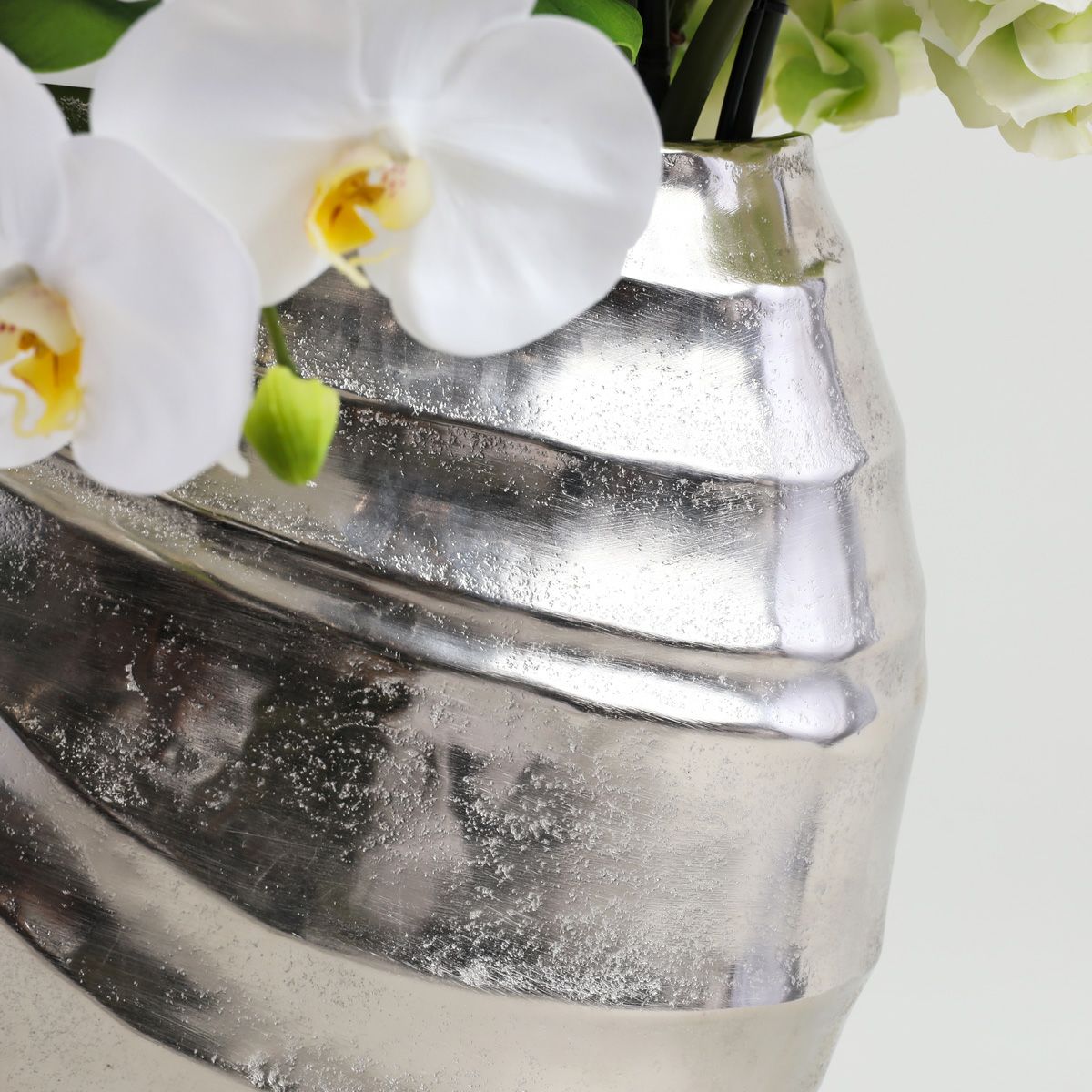 胡蝶蘭 はくらん[20]