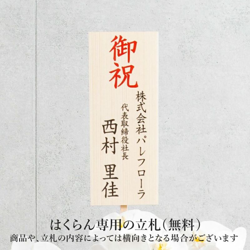 胡蝶蘭 はくらん[20]