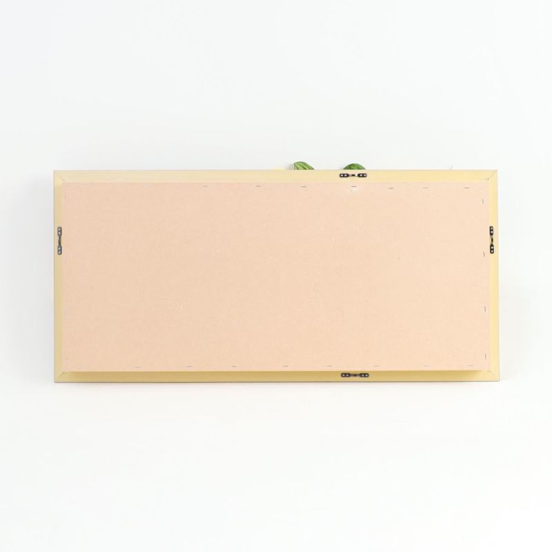 胡蝶蘭 はくらん フレーム [23]